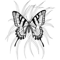 Malvorlage: Schmetterling (Tiere) #15786 - Kostenlose Malvorlagen zum Ausdrucken