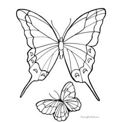 Malvorlage: Schmetterling (Tiere) #15797 - Kostenlose Malvorlagen zum Ausdrucken