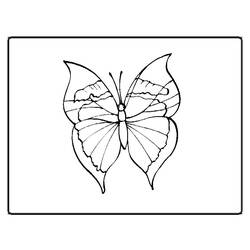 Malvorlage: Schmetterling (Tiere) #15822 - Kostenlose Malvorlagen zum Ausdrucken