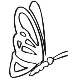 Malvorlage: Schmetterling (Tiere) #15840 - Kostenlose Malvorlagen zum Ausdrucken