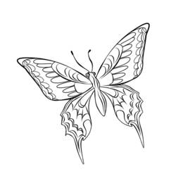 Malvorlage: Schmetterling (Tiere) #15846 - Kostenlose Malvorlagen zum Ausdrucken