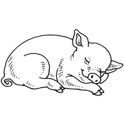 Malvorlage: Schwein (Tiere) #3590 - Kostenlose Malvorlagen zum Ausdrucken