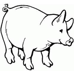 Malvorlage: Schwein (Tiere) #3610 - Kostenlose Malvorlagen zum Ausdrucken