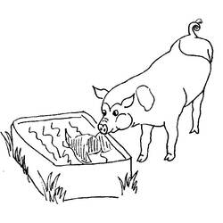 Malvorlage: Schwein (Tiere) #3630 - Kostenlose Malvorlagen zum Ausdrucken