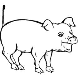 Malvorlage: Schwein (Tiere) #3657 - Kostenlose Malvorlagen zum Ausdrucken
