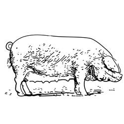 Malvorlage: Schwein (Tiere) #3733 - Kostenlose Malvorlagen zum Ausdrucken