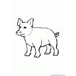 Malvorlage: Schwein (Tiere) #3765 - Kostenlose Malvorlagen zum Ausdrucken