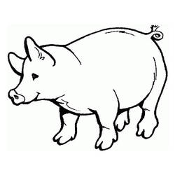 Malvorlage: Schweinefleisch (Tiere) #17621 - Kostenlose Malvorlagen zum Ausdrucken