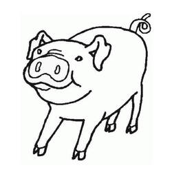 Malvorlage: Schweinefleisch (Tiere) #17633 - Kostenlose Malvorlagen zum Ausdrucken