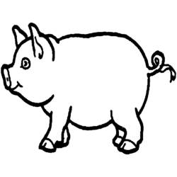 Malvorlage: Schweinefleisch (Tiere) #17639 - Kostenlose Malvorlagen zum Ausdrucken