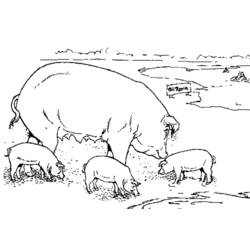 Malvorlage: Schweinefleisch (Tiere) #17681 - Kostenlose Malvorlagen zum Ausdrucken