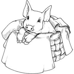 Malvorlage: Schweinefleisch (Tiere) #17784 - Kostenlose Malvorlagen zum Ausdrucken