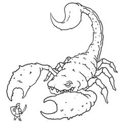 Malvorlage: Skorpion (Tiere) #14537 - Kostenlose Malvorlagen zum Ausdrucken