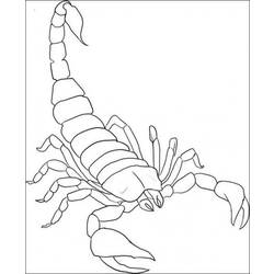 Malvorlage: Skorpion (Tiere) #14539 - Kostenlose Malvorlagen zum Ausdrucken