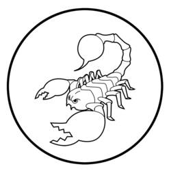 Malvorlage: Skorpion (Tiere) #14542 - Kostenlose Malvorlagen zum Ausdrucken