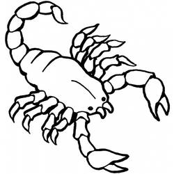 Malvorlage: Skorpion (Tiere) #14549 - Kostenlose Malvorlagen zum Ausdrucken