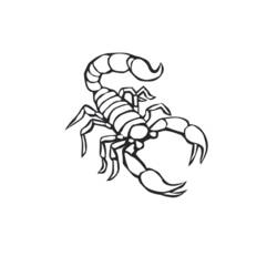 Zeichnungen zum Ausmalen: Skorpion - Druckbare Malvorlagen
