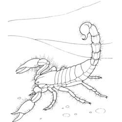 Malvorlage: Skorpion (Tiere) #14553 - Kostenlose Malvorlagen zum Ausdrucken