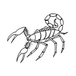 Malvorlage: Skorpion (Tiere) #14574 - Kostenlose Malvorlagen zum Ausdrucken