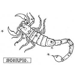 Malvorlage: Skorpion (Tiere) #14596 - Kostenlose Malvorlagen zum Ausdrucken