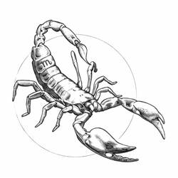 Malvorlage: Skorpion (Tiere) #14633 - Kostenlose Malvorlagen zum Ausdrucken