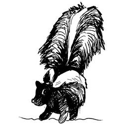 Malvorlage: Skunk (Tiere) #11192 - Kostenlose Malvorlagen zum Ausdrucken