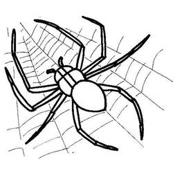 Malvorlage: Spinne (Tiere) #584 - Kostenlose Malvorlagen zum Ausdrucken