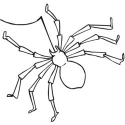 Malvorlage: Spinne (Tiere) #597 - Kostenlose Malvorlagen zum Ausdrucken