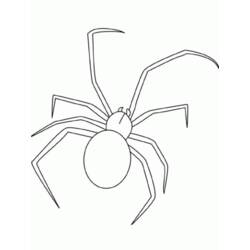 Malvorlage: Spinne (Tiere) #613 - Kostenlose Malvorlagen zum Ausdrucken