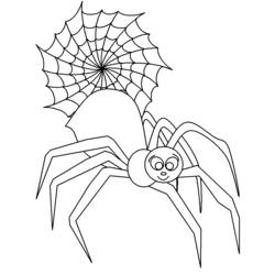 Malvorlage: Spinne (Tiere) #630 - Kostenlose Malvorlagen zum Ausdrucken