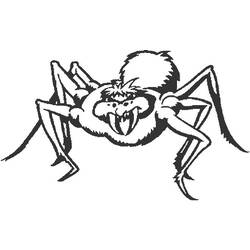 Malvorlage: Spinne (Tiere) #635 - Kostenlose Malvorlagen zum Ausdrucken