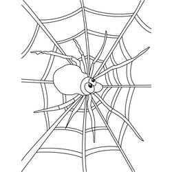 Malvorlage: Spinne (Tiere) #648 - Kostenlose Malvorlagen zum Ausdrucken