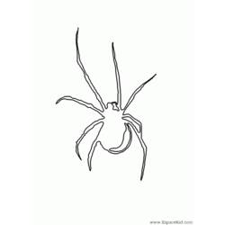 Malvorlage: Spinne (Tiere) #649 - Kostenlose Malvorlagen zum Ausdrucken