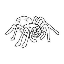 Malvorlage: Spinne (Tiere) #656 - Kostenlose Malvorlagen zum Ausdrucken