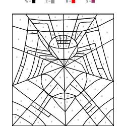Malvorlage: Spinne (Tiere) #658 - Kostenlose Malvorlagen zum Ausdrucken