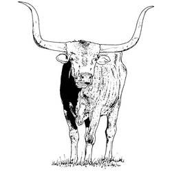 Malvorlage: Stier (Tiere) #13788 - Kostenlose Malvorlagen zum Ausdrucken