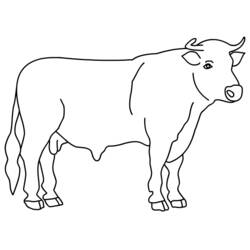 Malvorlage: Stier (Tiere) #13789 - Kostenlose Malvorlagen zum Ausdrucken