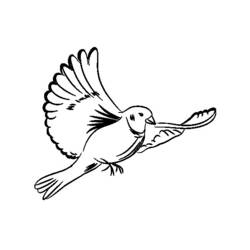 Malvorlage: Taube (Tiere) #3971 - Kostenlose Malvorlagen zum Ausdrucken