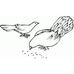 Malvorlage: Taube (Tiere) #4050 - Kostenlose Malvorlagen zum Ausdrucken
