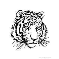Malvorlage: Tiger (Tiere) #13592 - Kostenlose Malvorlagen zum Ausdrucken