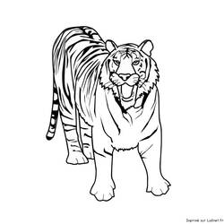 Malvorlage: Tiger (Tiere) #13595 - Kostenlose Malvorlagen zum Ausdrucken