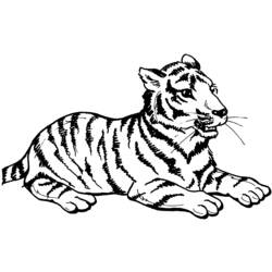 Malvorlage: Tiger (Tiere) #13597 - Kostenlose Malvorlagen zum Ausdrucken