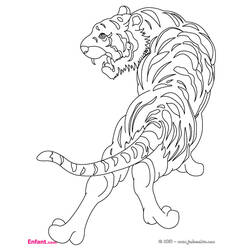 Malvorlage: Tiger (Tiere) #13600 - Kostenlose Malvorlagen zum Ausdrucken