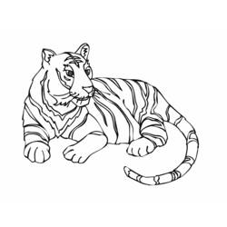 Zeichnungen zum Ausmalen: Tiger - Druckbare Malvorlagen