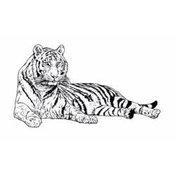 Malvorlage: Tiger (Tiere) #13607 - Kostenlose Malvorlagen zum Ausdrucken