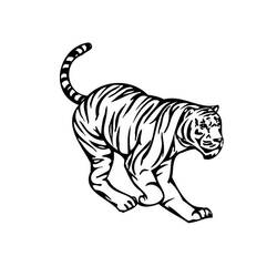 Malvorlage: Tiger (Tiere) #13611 - Kostenlose Malvorlagen zum Ausdrucken