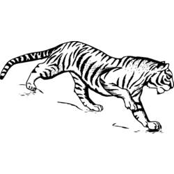 Malvorlage: Tiger (Tiere) #13613 - Kostenlose Malvorlagen zum Ausdrucken