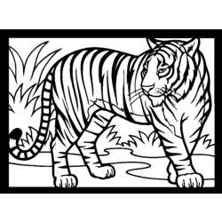 Malvorlage: Tiger (Tiere) #13615 - Kostenlose Malvorlagen zum Ausdrucken