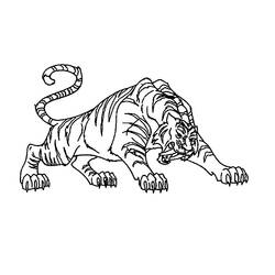 Malvorlage: Tiger (Tiere) #13617 - Kostenlose Malvorlagen zum Ausdrucken