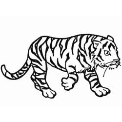 Malvorlage: Tiger (Tiere) #13629 - Kostenlose Malvorlagen zum Ausdrucken
